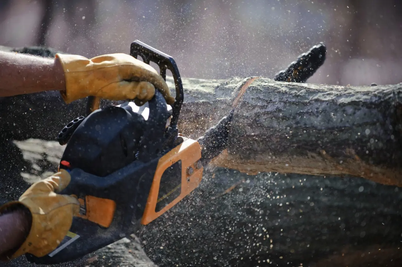 Chainsaw cutting through large tree log
