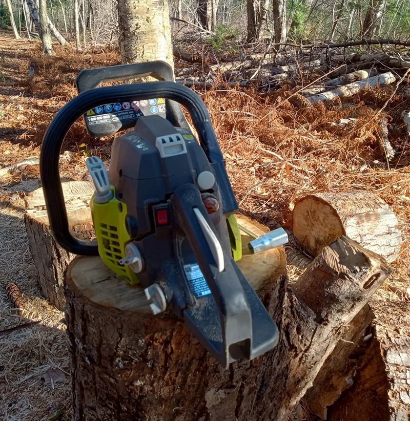 Chainsaw on tree stump in forest