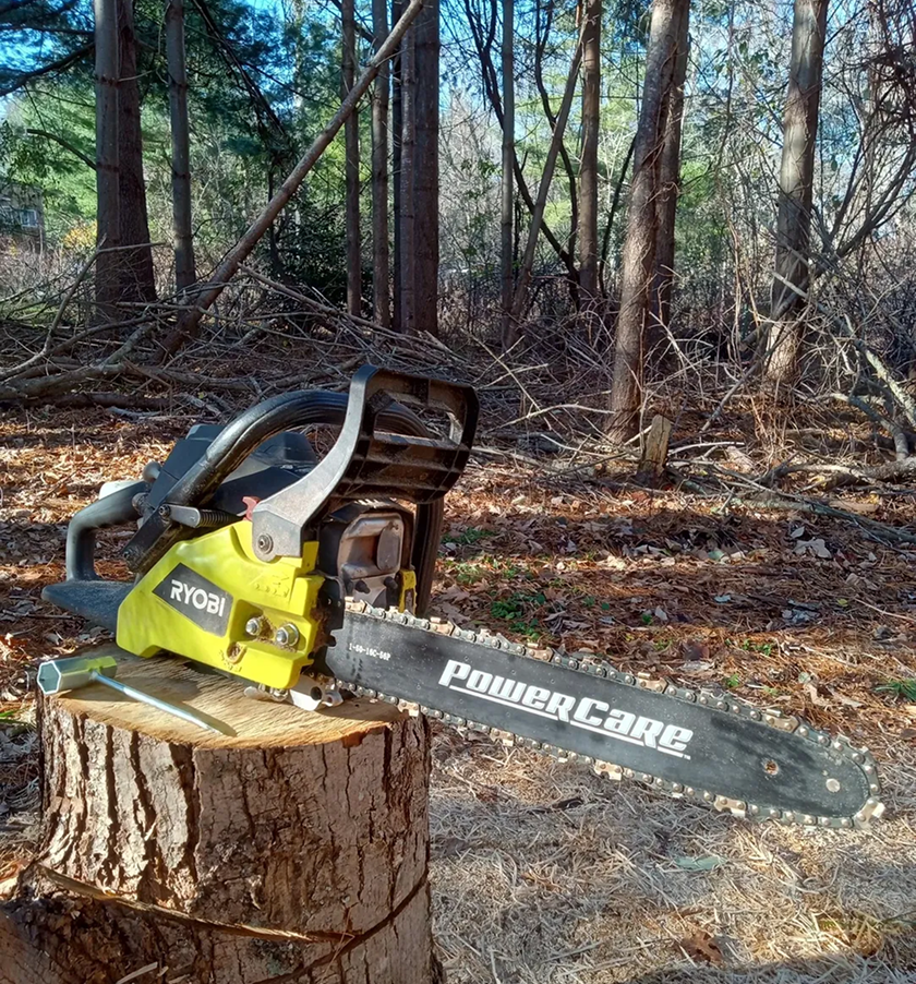 Ryobi chainsaw outdoors on stump