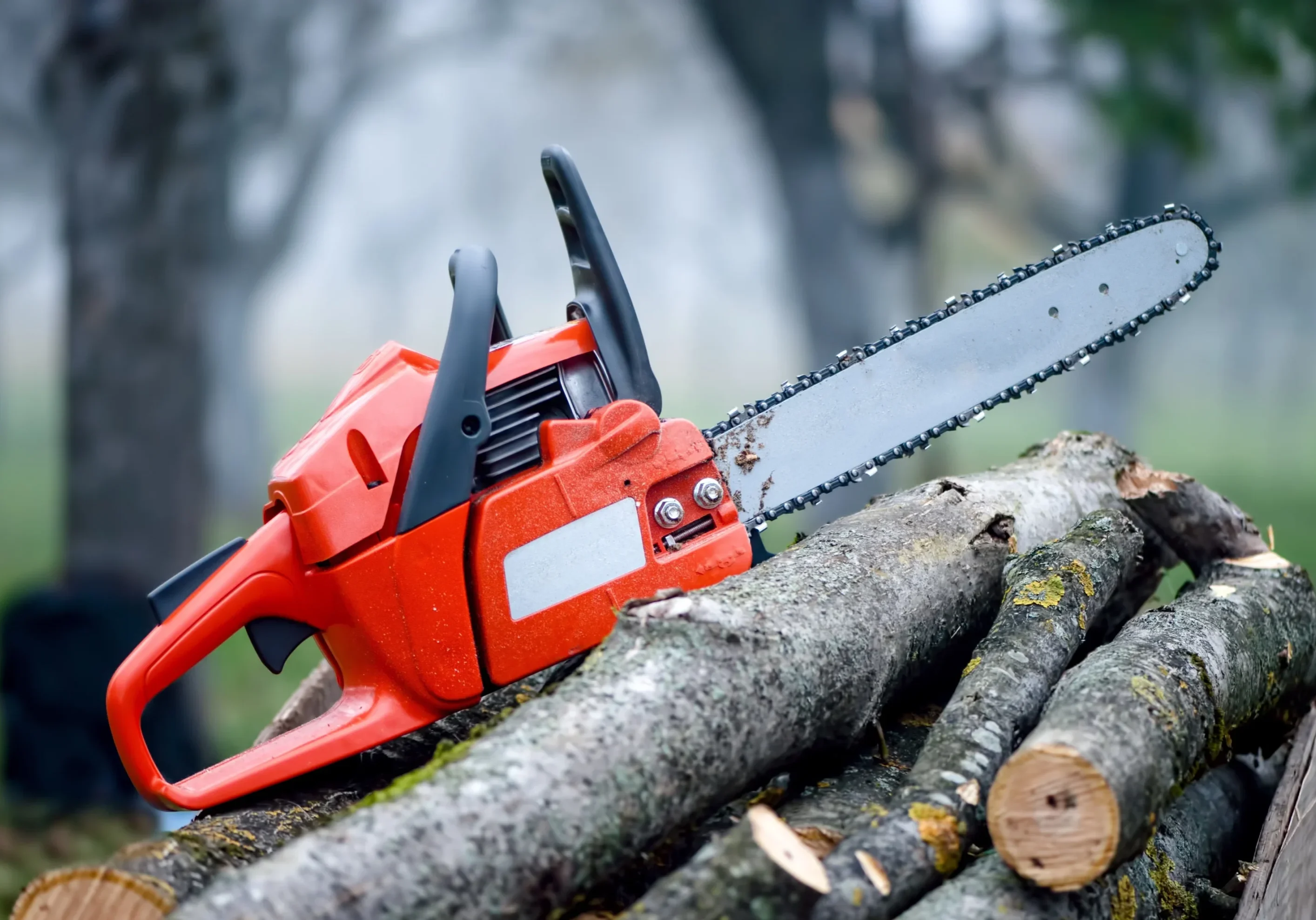 chainsaw_safety.webp - reggie pic 1